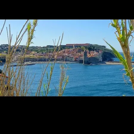 Les Oliviers Collioure